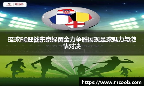 琉球FC迎战东京绿茵全力争胜展现足球魅力与激情对决